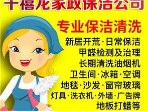 平輿家政服務全方位指南 從信息查詢到專業管理